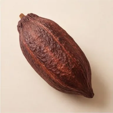 Cacao Pod