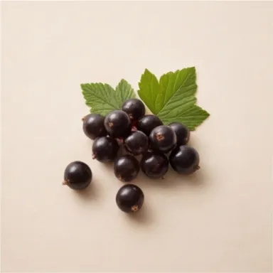 Cassis