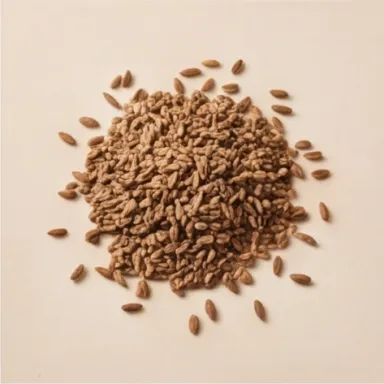 Carrot Seeds