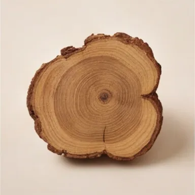 Guaiac Wood
