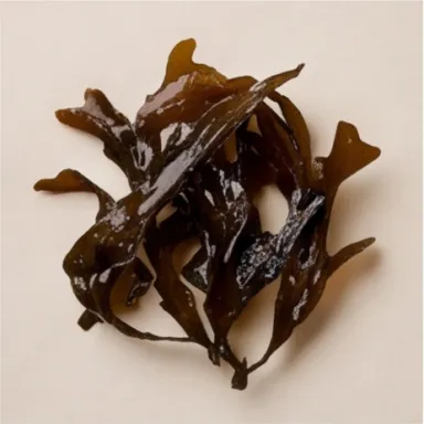 Seaweed