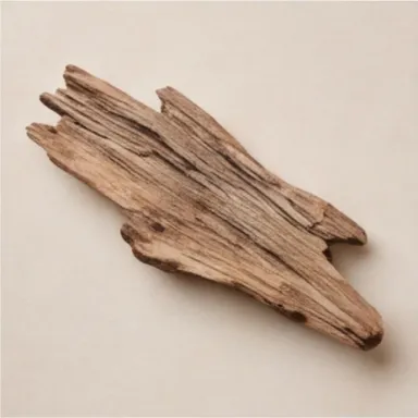 Driftwood