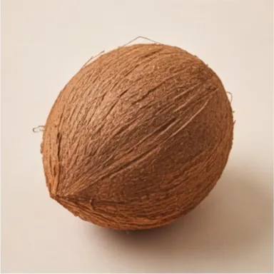 Coconut