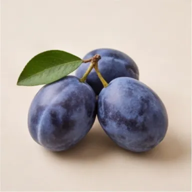 Plum