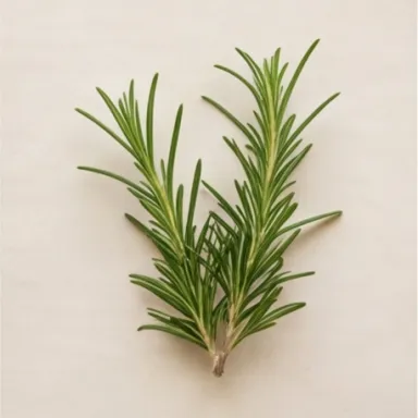 Rosemary