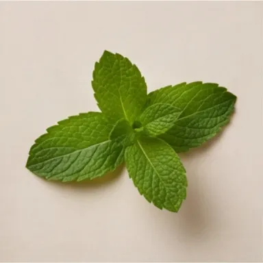 Peppermint