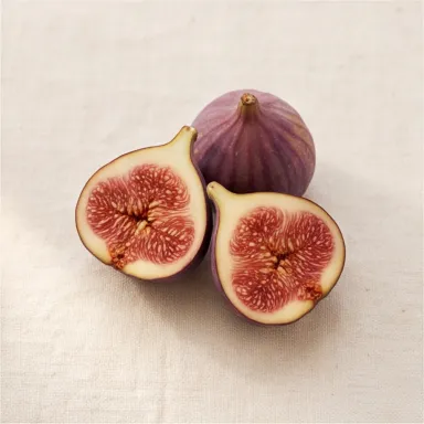 Fig