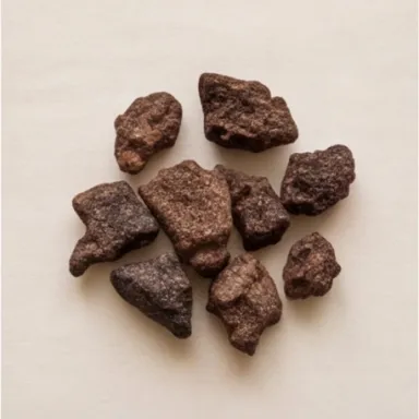 Nagarmotha