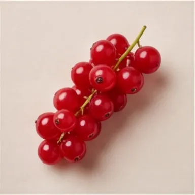 Red Currant
