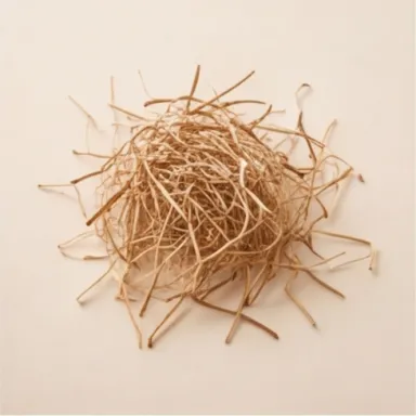 Haitian Vetiver