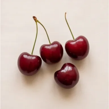 Sour Cherry