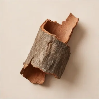 Bark