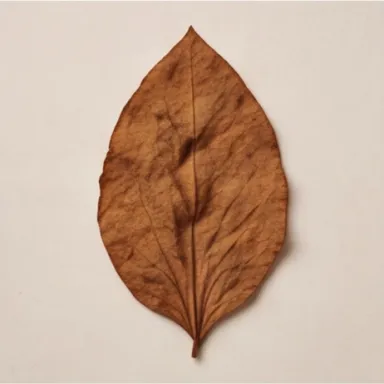 Tobacco Leaf
