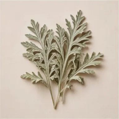 Wormwood