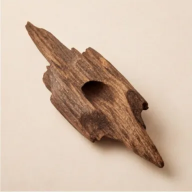 Cambodian Oud