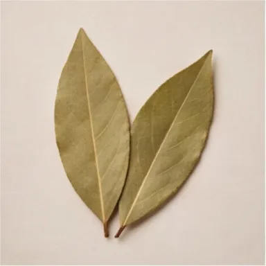 Bay Leaf