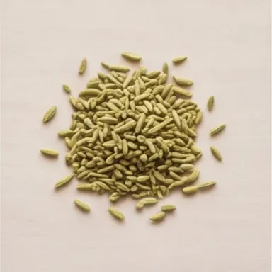 Fennel
