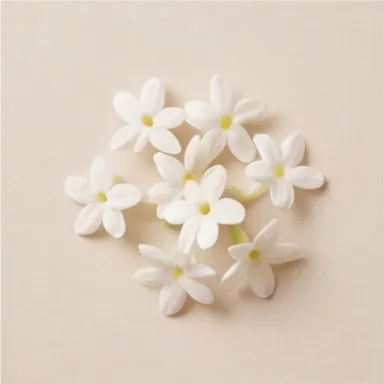 Moroccan Jasmine