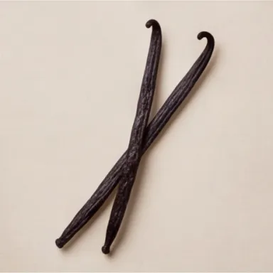 Vanilla Bean