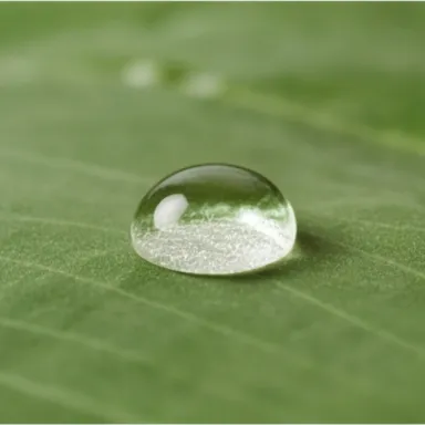 Dew Drop