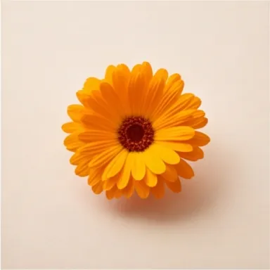 Marigold