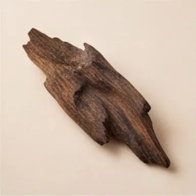 Indian Oud