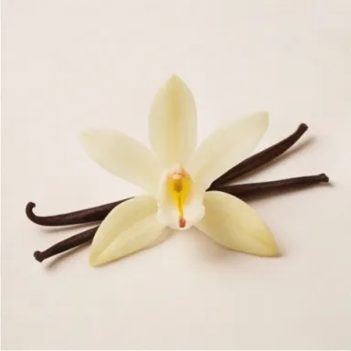 Vanilla Flower
