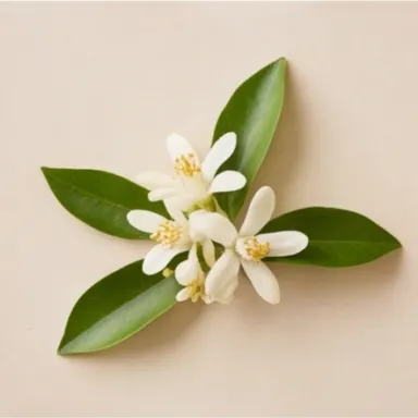 Mandarin Blossom