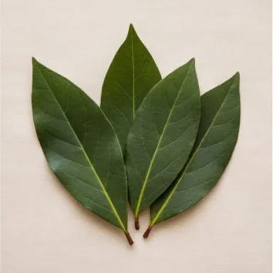 Laurels