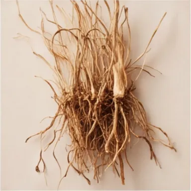 Bourbon Vetiver