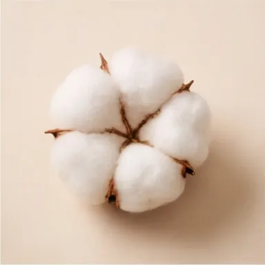 Cotton Flower