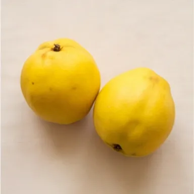 Quince