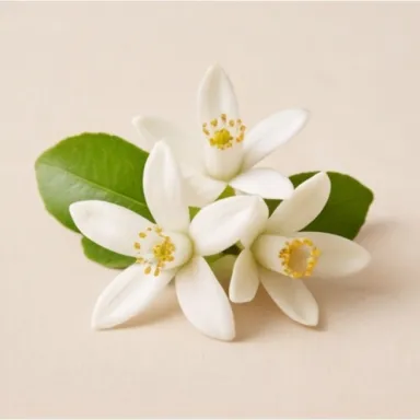 Tunisian Neroli