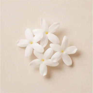 Water Jasmine