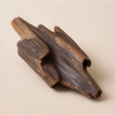 Laotian Oud