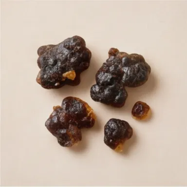 Spanish Labdanum