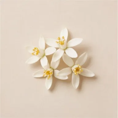 Tunisian Orange Blossom