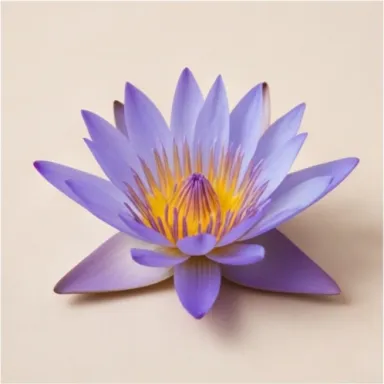 Blue Lotus