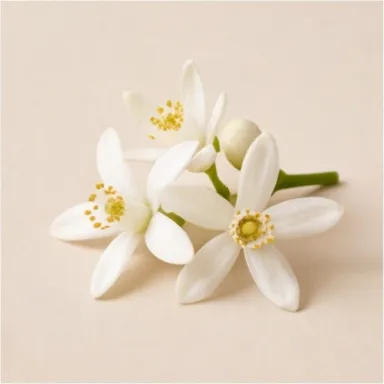 Lemon Blossom