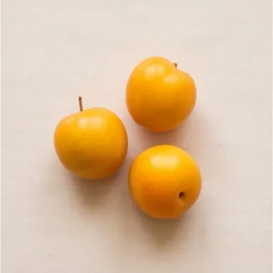Mirabelle Plum
