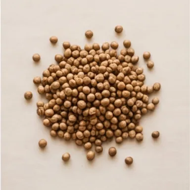 Coriander