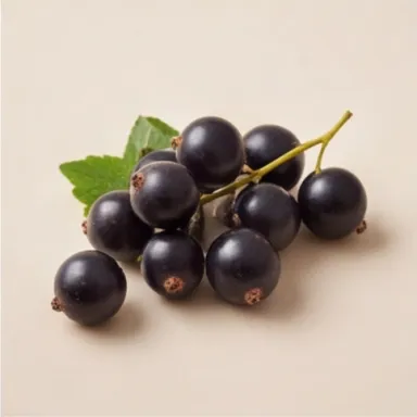 Black Currant