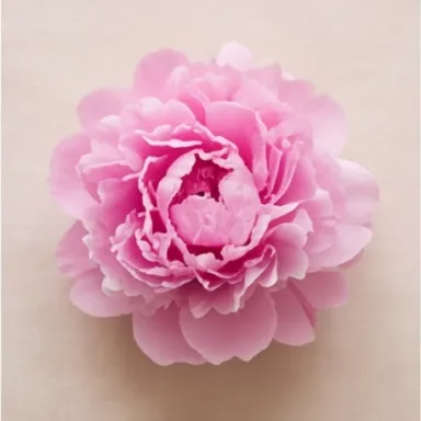 Peony