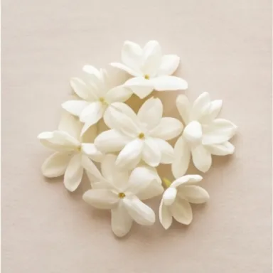Jasmine