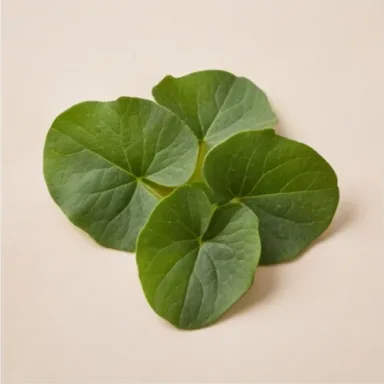 Violet Leaf