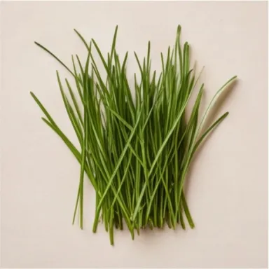 Grass