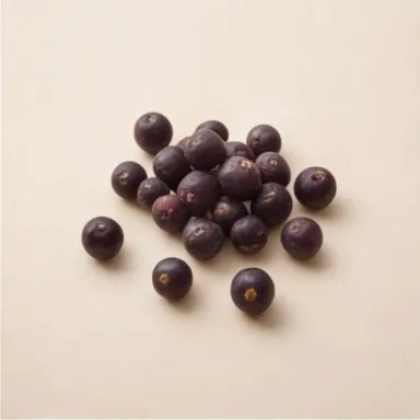 Juniper Berries