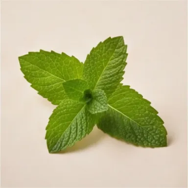 Mint
