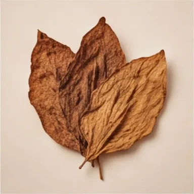 Tobacco