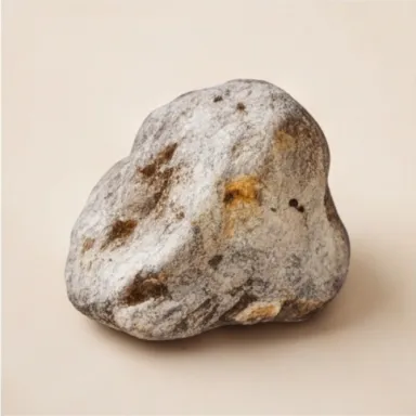 Ambergris